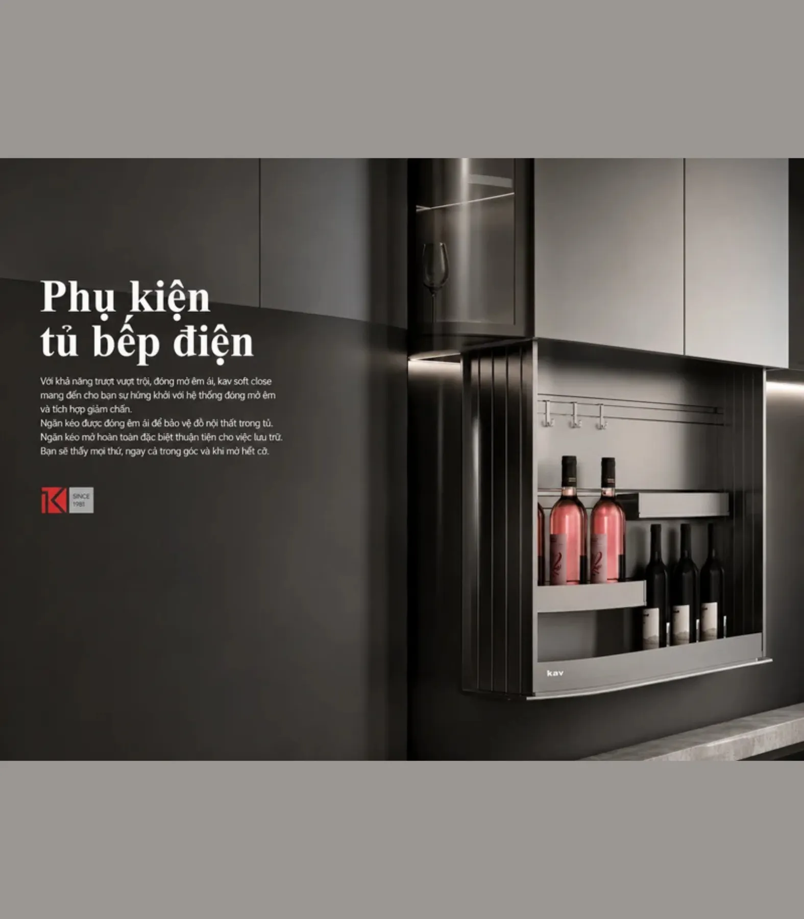 PHỤ KIỆN TỦ BẾP ĐIỆN